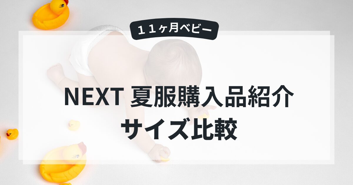 NEXT購入品紹介